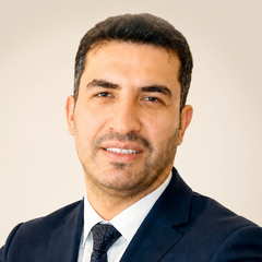 Ahmet Baki Yerli
