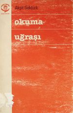 Okuma Uğraşı (1-C-13)
