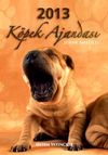 2013 K&ouml;pek Ajandası