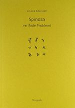 Spinoza ve İfade Problemi