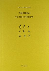 Spinoza ve İfade Problemi