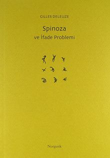 Spinoza ve İfade Problemi