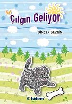 Çılgın Geliyor