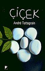 Çiçek/Taş İle İnsan Arasındaki Arabulucu Olarak