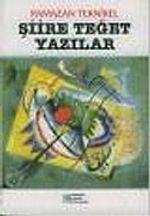 Şiire Teğet Yazılar