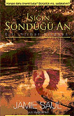 Işığın Söndüğü An