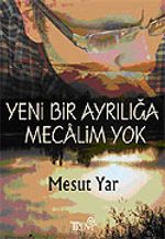 Yeni Bir Ayrılığa Mecalim Yok