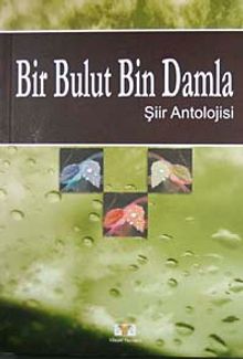 Bir Bulut Bin Damla