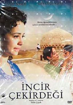 İncir Çekirdeği (DVD)