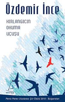 Kırlangıcın Okuma Uçuşu