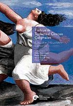 Türkiye'de Toplumsal Cinsiyet Çalışmaları & Eşitsizlikler Mücadeleler Kazanımlar
