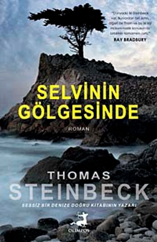 Selvinin Gölgesinde