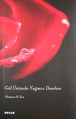 Gül Üstünde Yağmur Damlası