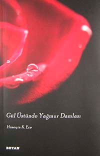 Gül Üstünde Yağmur Damlası