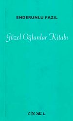 Güzel Oğlanlar Kitabı
