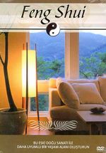 Feng Shui (DVD)