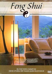Feng Shui (DVD)