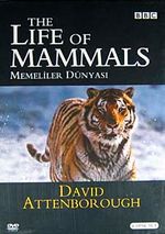 Memeliler Dünyası / The Life Of Mammals (4 DVD)