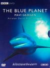 Mavi Gezegen / The Blue Planet (4 DVD)