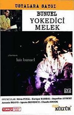 Yokedici Melek (Dvd)