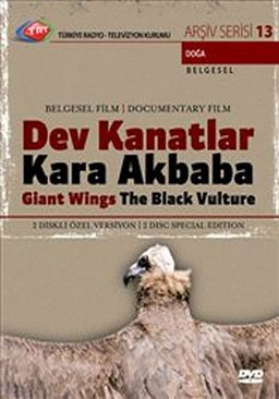 TRT Arşiv Serisi 13 / Dev Kanatlar Kara Akbaba (Giant Wings The Black Vulture)