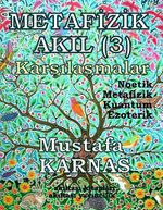 Metafizik Akıl -3