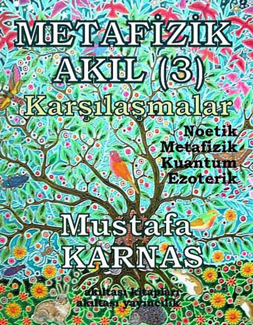 Metafizik Akıl -3