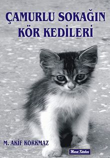 Çamurlu Sokağın Kör Kedileri