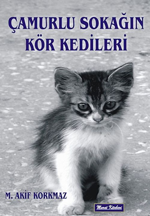 Çamurlu Sokağın Kör Kedileri