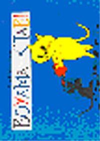 Boyama Kitabı-2/3-5 Yaş