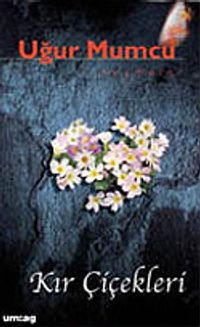 Kır Çiçekleri