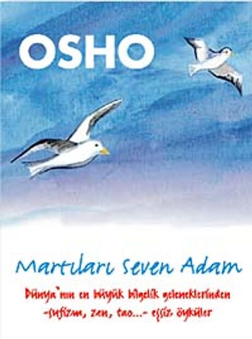 Martıları Seven Adam