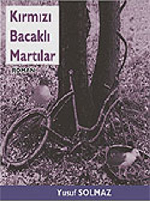 Kırmızı Bacaklı Martılar