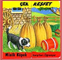 Minik Köpek-Karşıtları Öğreniyor / Çek Keşfet
