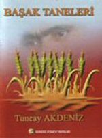 Başak Taneleri