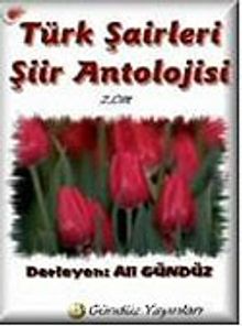 Türk Şairleri Şiir Antolojisi (2. Cilt)