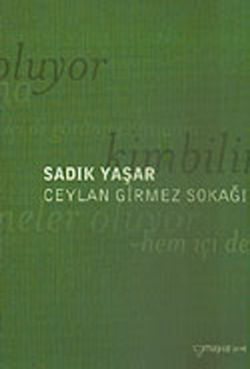 Ceylan Girmez Sokağı