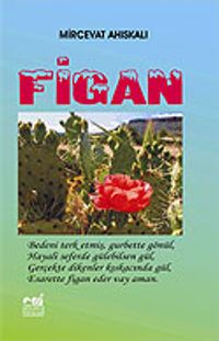 Figan