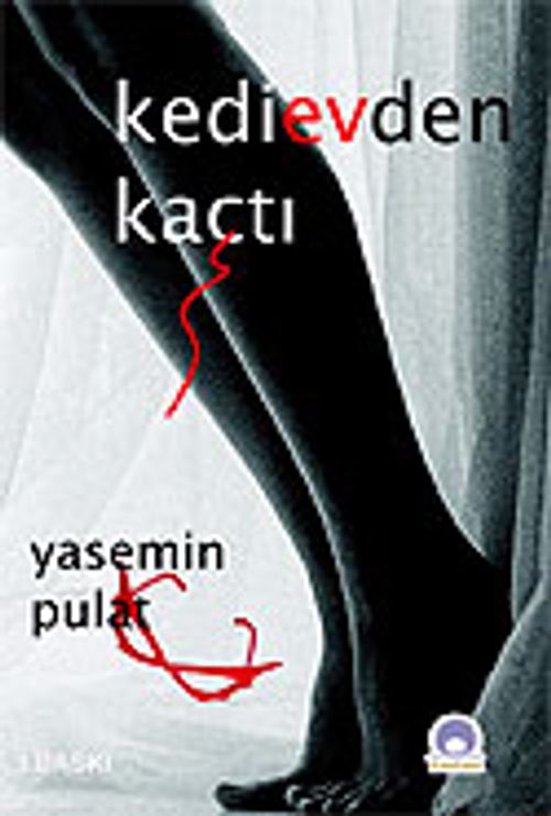Kedi Evden Kaçtı