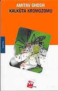 Kalküta Kromozomu