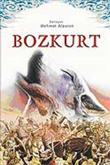 Bozkurt