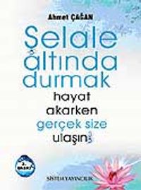 Şelale Altında Durmak