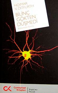 Bilinç Gökten Düşmedi