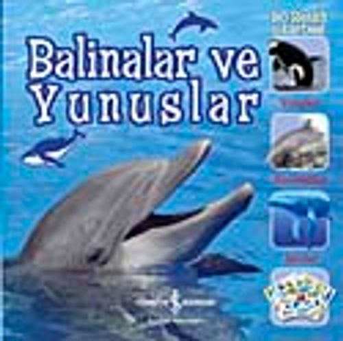 Balinalar ve Yunuslar