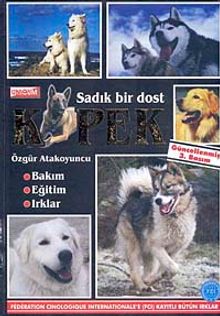 Sadık Bir Dost Köpek