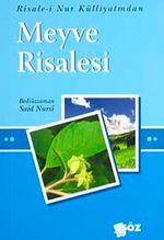 Meyve Risalesi / Küçük Boy Cep