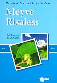 Meyve Risalesi / Küçük Boy Cep