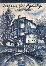 Taşranın Gri Aydınlığı