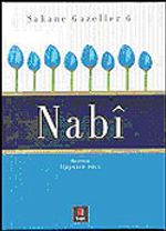 Şahane Gazeller 6 / Nabi