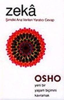 Zeka Şimdiki Ana Verilen Yaratıcı Cevap